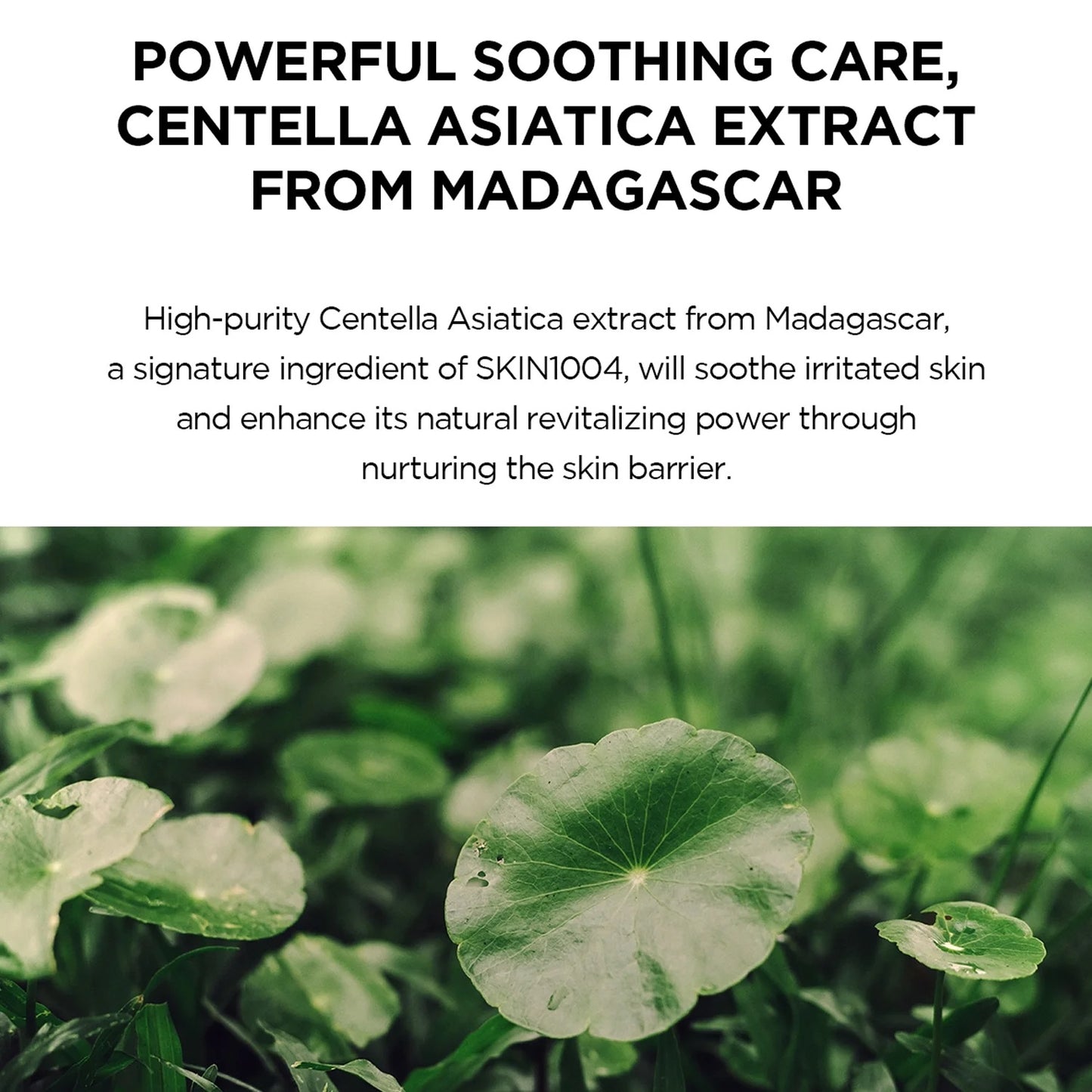 SKIN1004 Madagascar Centella Hyalu-Cica Water-Fit Sun Serum 50 ml